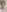 LIZA_SHAY_PORNSTAR Masturbation on kitchen Pic 6