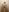 Lar0uch Nude Fotografie 3