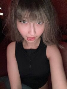 dollylight Public Gambar