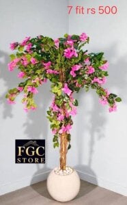 Hot_reani Public รูป 