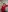 delightful_sofi Sofi in red 사진 3