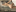 5 Naked Pic de LuisaBecker Fotos 5