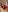 Chloe__Moon slap me dear Photo 6