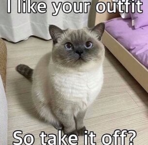 So_audrey memes! Pic 6