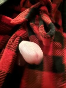 Sweetandsexy84: Fun ( 9 фото)