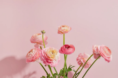 MARIA_oO ♡ Billede 4