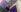 Vantablack_BDSMShow LUNA Pic 6
