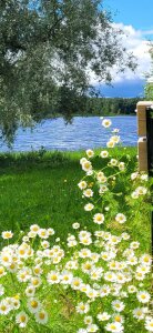 AnnA__2024