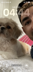 salumicha85 UklLa Pic 6