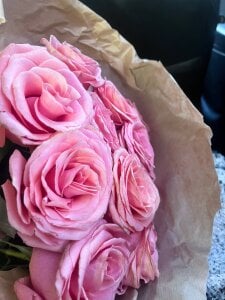 BellaBriggs 🩵🩵🩵 Billede