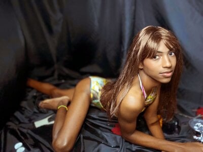 EXOTIC_TRANS Public Gambar