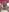 DaddybearVLC Jacuzzi Fotografie 3