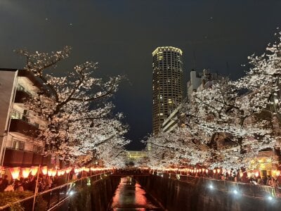 ERI_0000 kullanıcısının 🤍 albümü -  4 fotoğraf