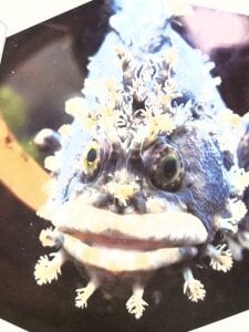 arisu-chan Public Pic 2