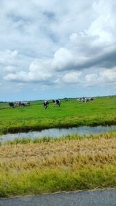 LovelyHelena Holidays in the Netherlands Pic 2
