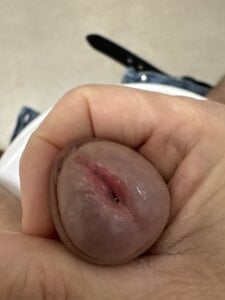 Kalisto2026Public图片 4