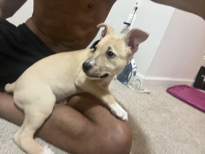 Tx_swallower Public Pic 2