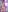 Jadeee_Hana-no-ami Rain of flowers照片