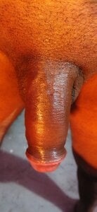 Caterosee Public Pic 8