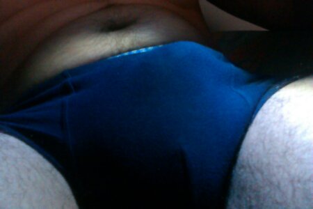 porcoIT75 Foto Immagine 