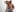 Naked Chocolate Body de BlackNike Fotos XXX 3