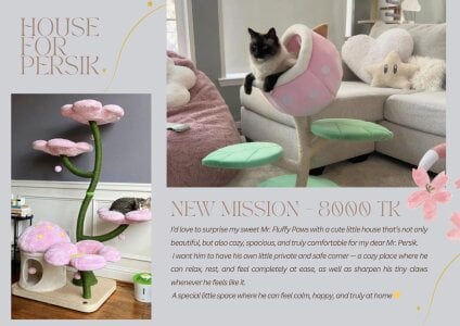 Mira_Fyre Gifts for Persik! Pic 2