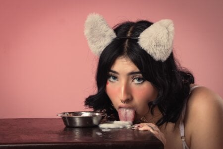 Public de Kattengel_ Foto 3