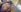 QueenJaya_876 POV: Facesitting 🪑 Pic 5