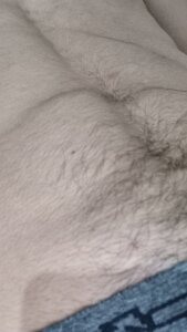 Public od w2025silva  snímek