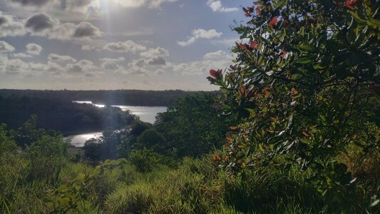 Mao211165 Natureza Foto 3