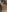 secret_dream415 Big Cumshot🥵😏😍 Pic
