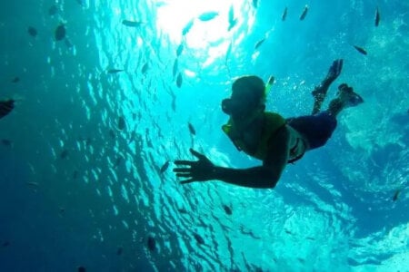 rogerdik76 About me Immagine 