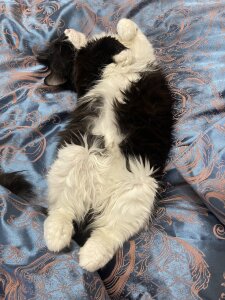 Public de Melissa_Law_  2 photos