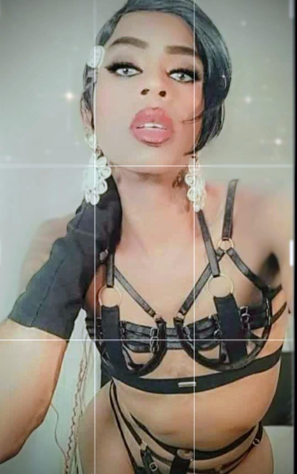 Трендове зображення  8097 corwindallas24cm