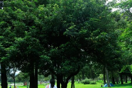 DanniG2000_ 🏞️ 🪿🌿🍃✨️ Pic 8