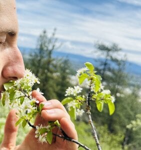 joshuatree4026 Public Pic 4
