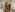 WhataGirlsx 2024 new pictures Pic