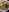 867_haruna ラーメンログ🍜 Pic 7