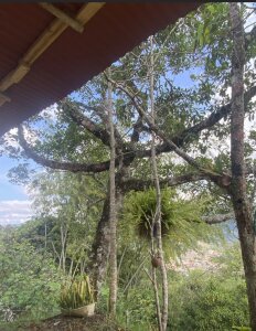 Isabella_SparxS Public Pic 3