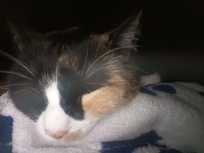 charlloteevans_XMichis Bild 8