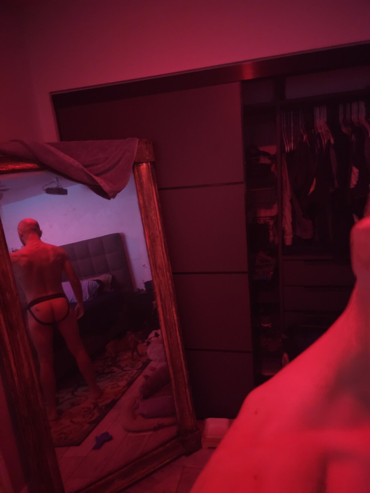 FrankieFuckMe Populära bilder 2352