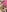 Valentines_Day Nude Easter photoshoot Photo