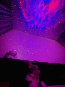 pandalorian Public Pic