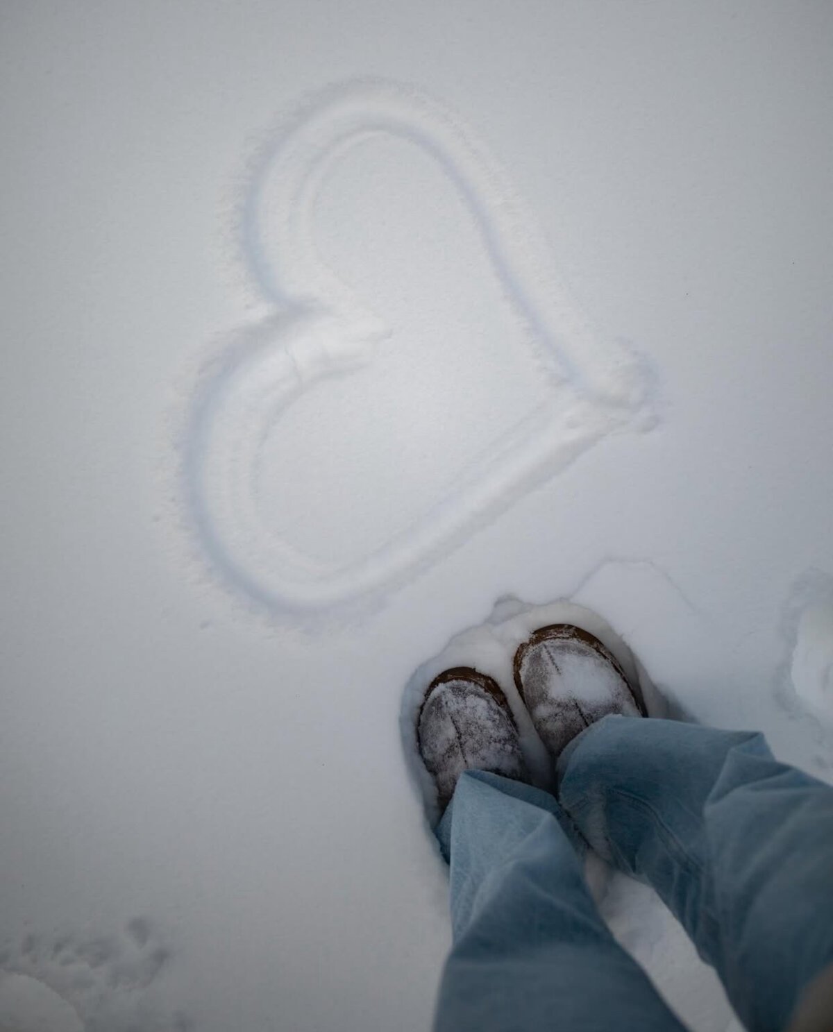 solenheu Poză populară 7471