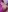 lepetitJahLeaky pussy peeks照片