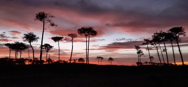 Jouons-ensembles2 Public Pic