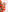 Cami_Sweet99Frohe Weihnachten und ein glückliches neues Jahr ❤🔥💖✨照片 8