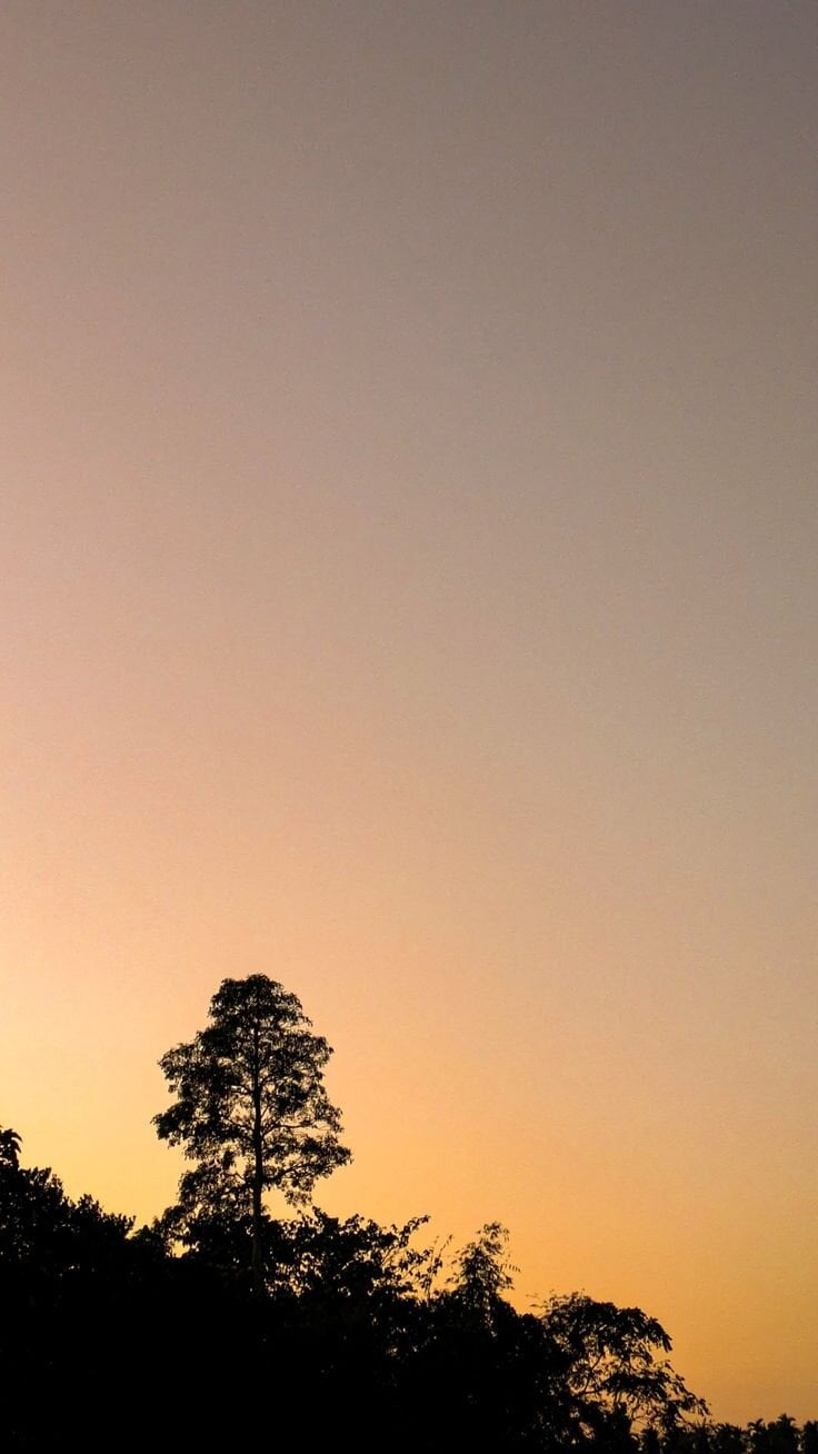 Lucii_fer_ Poză populară 9992