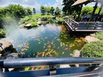 xxDepzaixx Public Pic 5