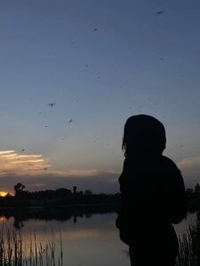 NoeliaGomm Public  2. fénykép